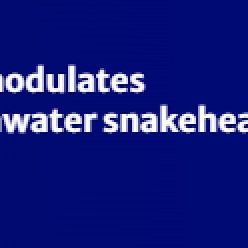 Photoperiodic alteration modulates immune responses of freshwater snakehead teleost, Channa punctatus